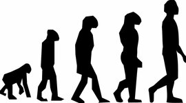 Timeline: LLISTA DEL TEMPS