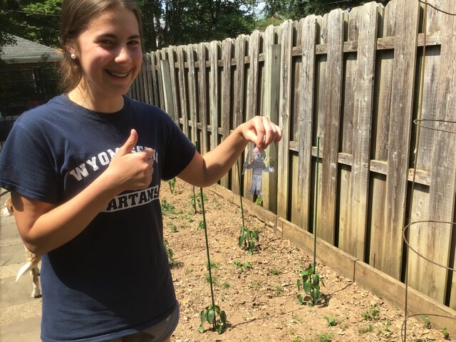 Quel est pour déjeuner?