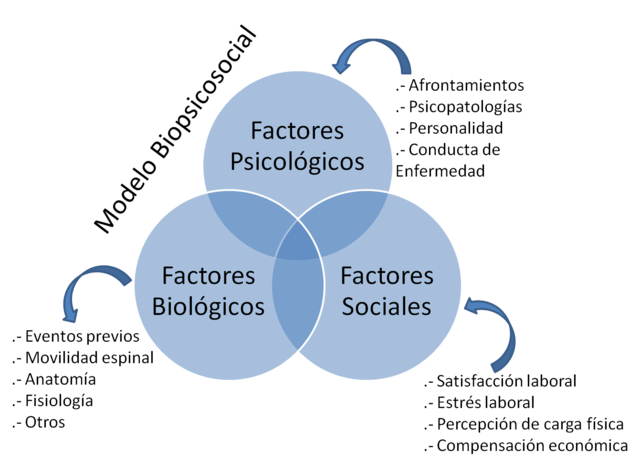SISTEMA BIO PSICO-SOCIAL