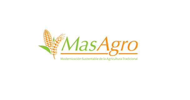 Creación MasAgro