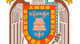 Timeline: DESARROLLO DE LA EMS