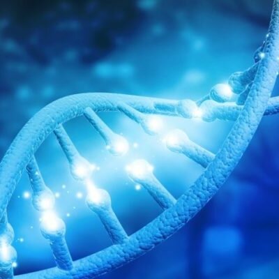 Timeline: Descubrimiento de la estructura y función del ADN