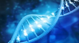 Timeline: Descubrimiento de la estructura y función del ADN