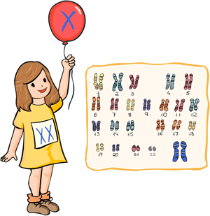 23 Cromosomas en el cuerpo humano