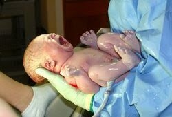 Primer bebe a partir de un ovocito y un esperma