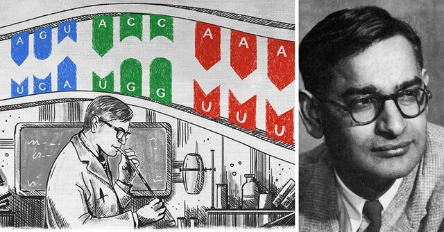 Reconstrucción total de un gen