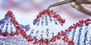 Técnica CRISPR CAS9