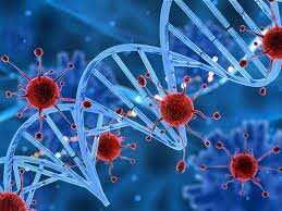 Genómica del cancer (últimos 20 años)