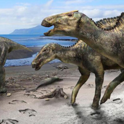 Timeline: Aparición de los primeros dinosaurios