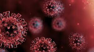 First case of Corona Virus reported in Wuhan, China