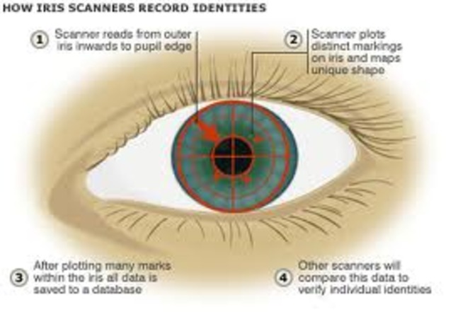 Iris Scans