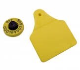 Caravana Electrónica