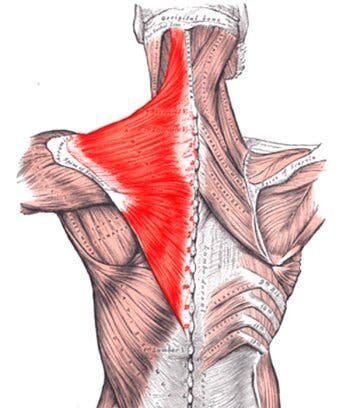 Lesión en Escápulas