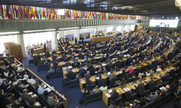 España ingresa a la FAO