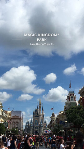 Parques de Disney y Universal Studios