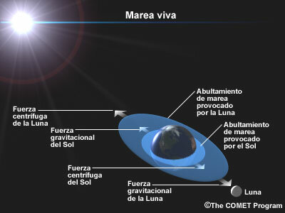 Galileo presenta su teoría de las mareas al cardenal Orsini