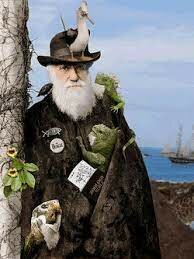 Monografías sobre los cirrípodos