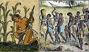 EPOCA PRIMITIVA DE LA ADMINISTRACIÓN