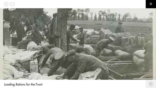 The Economy and the Homefront 1916-17