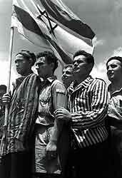 INDEPENDENCIA DE ISRAEL
