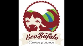 Timeline: Ecobúfalo campesino