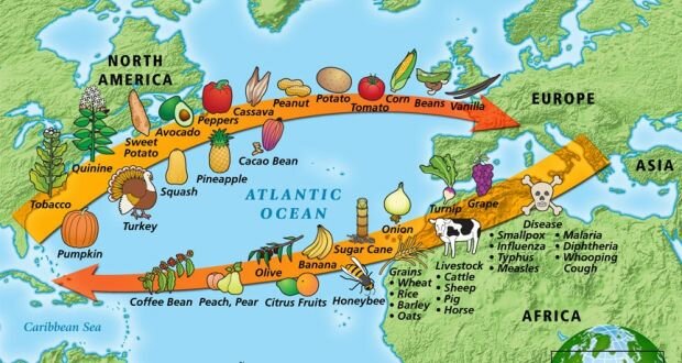 The Columbian Exchange
