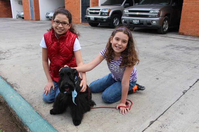 Lucas, mi primera mascota