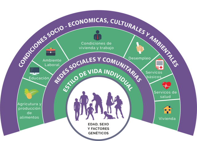 Modelo Histórico-social