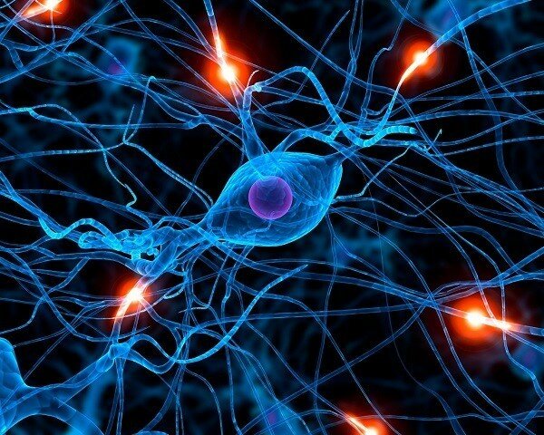 surgimiento primera agrupación neuronal