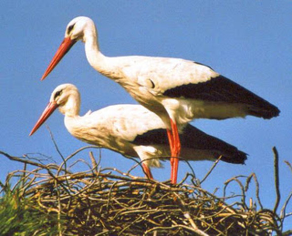 Empece de Nuevo mi Trabajo en un Cole.