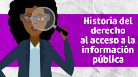 Timeline: Conformación del DAI