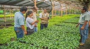 Censo Nacional Agropecuario.