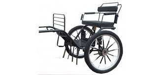 Carruaje de Dos Ruedas