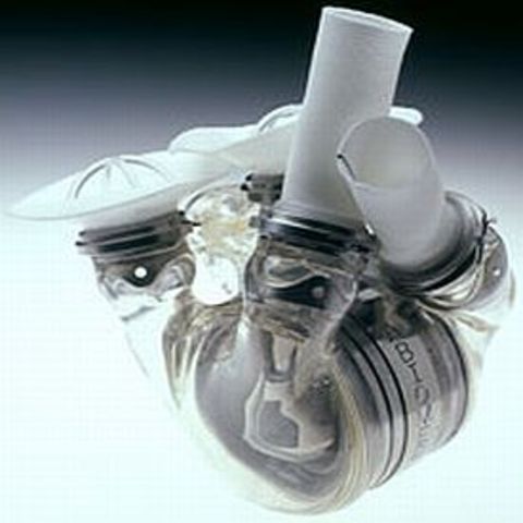 The artificial heart
