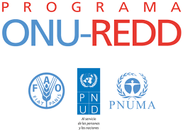 Programa ONU REDD