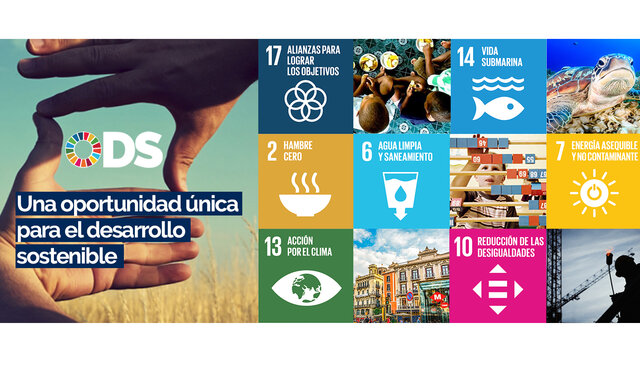 Agenda de Desarrollo Post 2015