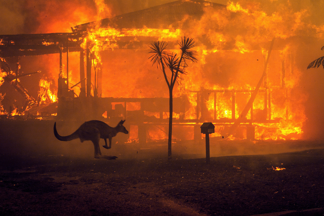 Australian Wildfires