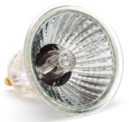 Halogen Lamp