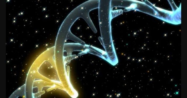 Se crea la primera molécula de ADN recombinante en el laboratorio