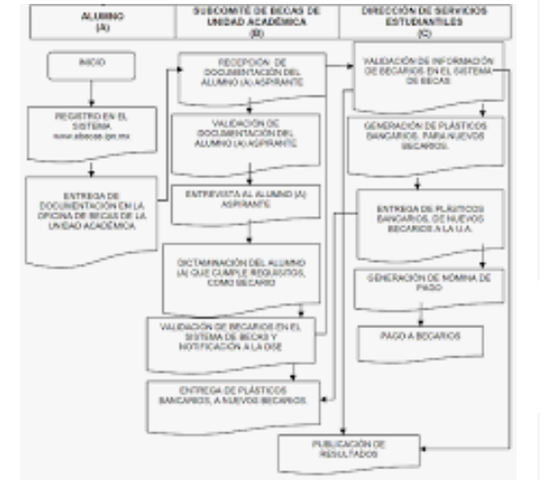 Se destaca la visión del bachillerato como nivel formativo