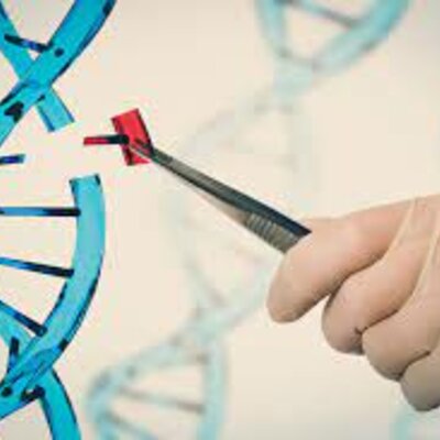 Timeline: Evolución de la genética