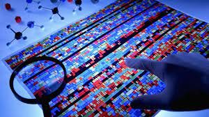 Se conoce de forma precisa la secuencia completa y ensamblada del genoma humano