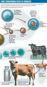 Se completa el Proyecto Genoma Humano