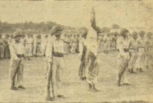 Institucionalidad del Ejército