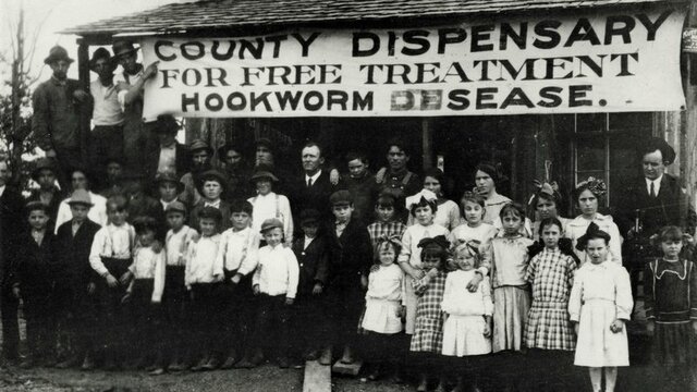 The Scourge of the South—Hookworm