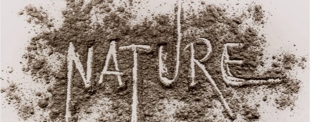 Disaster—The Birth of Environmentalism