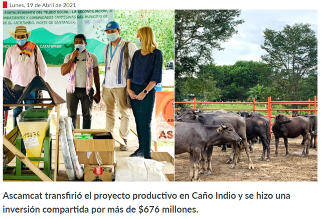 Entrega de búfalos a ETCR Caño Indio (Tibú NdS).