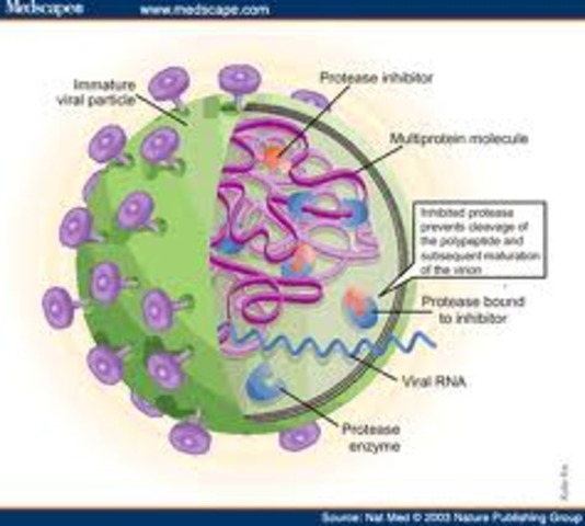 HIV protease inhibitor invented.