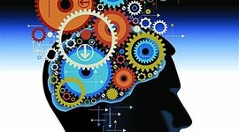 Timeline: Cronología