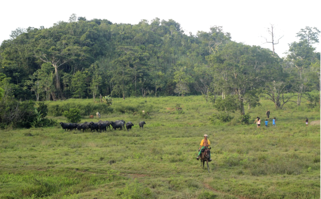 Comienzo de la iniciativa